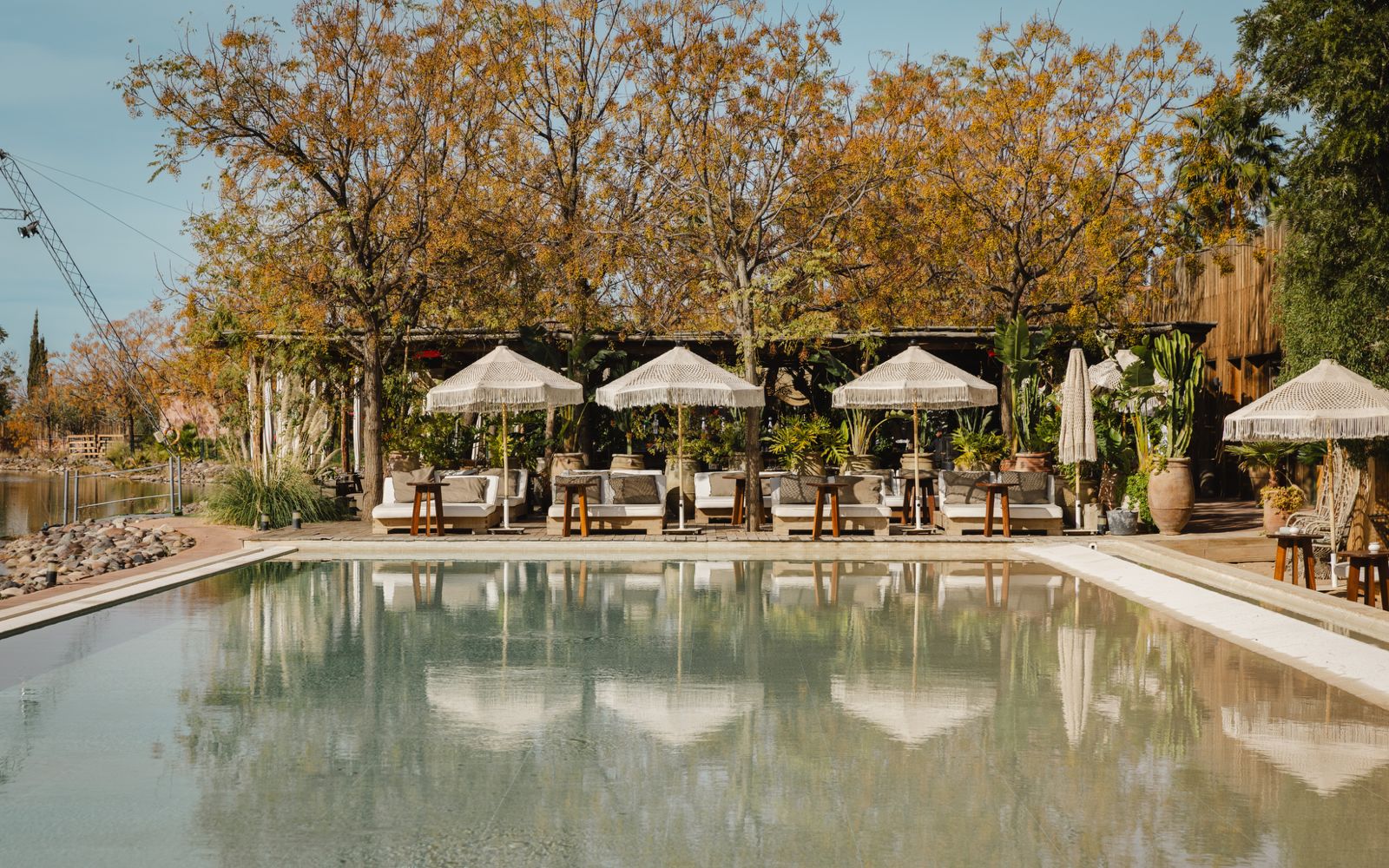 Piscine chauffée Beach Mama